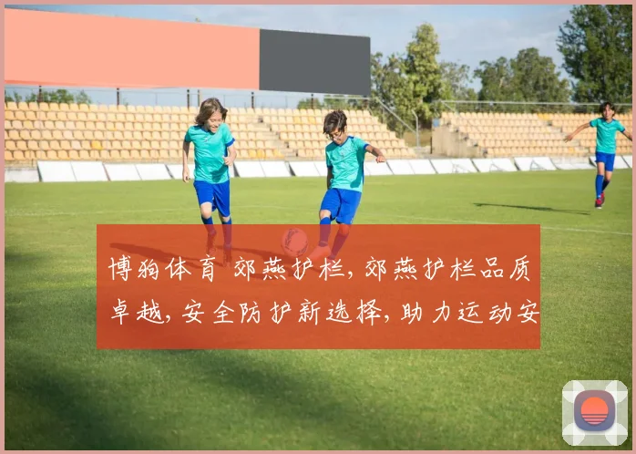 博狗体育 郊燕护栏,郊燕护栏品质卓越,安全防护新选择,助力运动安全,守护每一刻。